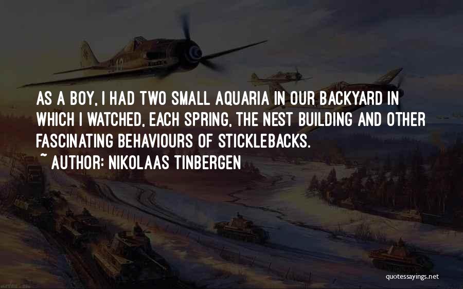Nikolaas Tinbergen Quotes 1436972