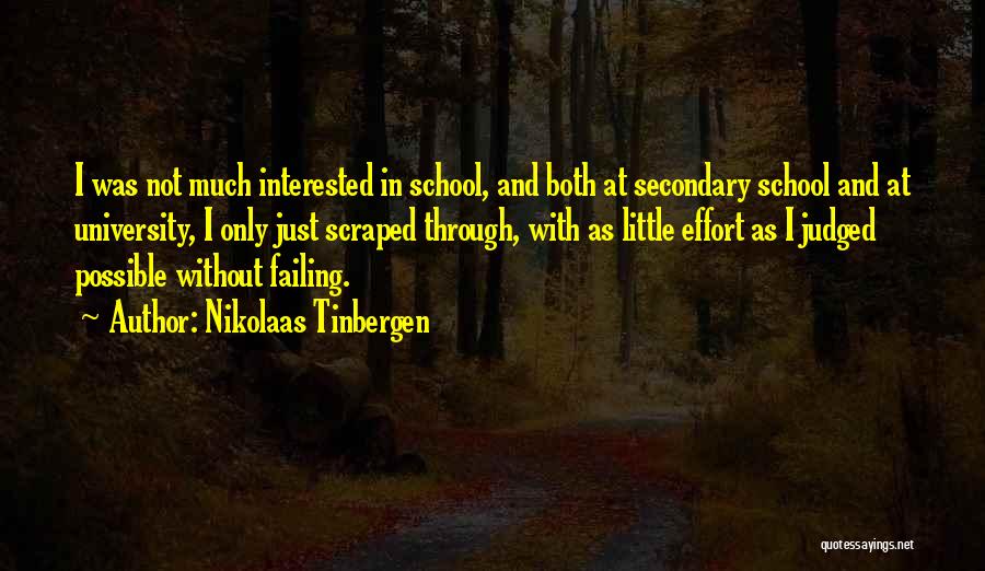 Nikolaas Tinbergen Quotes 920485