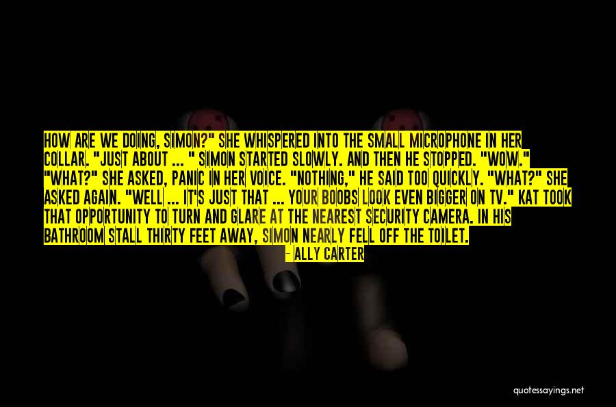 Nikulina Inna Quotes By Ally Carter Nikulina Inna Quotes By Ally Carter
