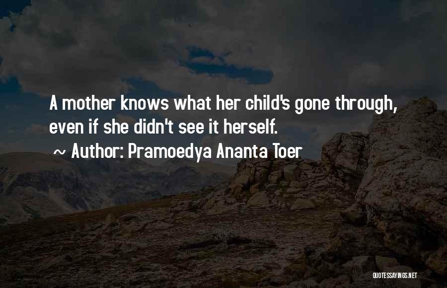 Nildo Frankovic Quotes By Pramoedya Ananta Toer
