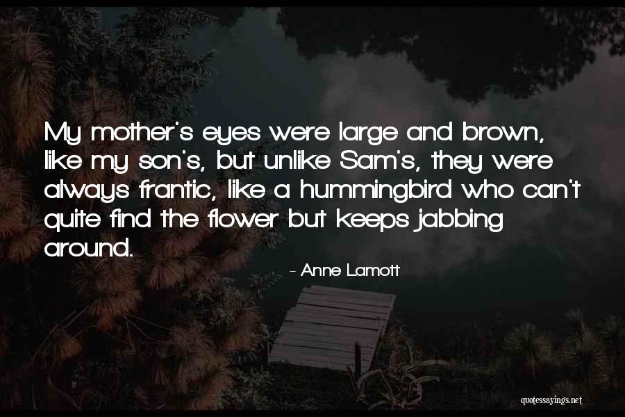 Nilisha Bhimani Quotes By Anne Lamott