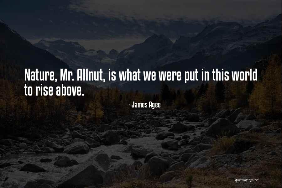 Nilufar Gallery Quotes By James Agee Nilufar Gallery Quotes By James Agee