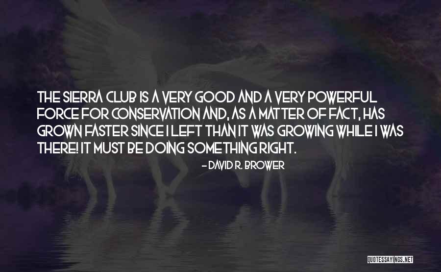Nilza Soto Quotes By David R. Brower Nilza Soto Quotes By David R. Brower
