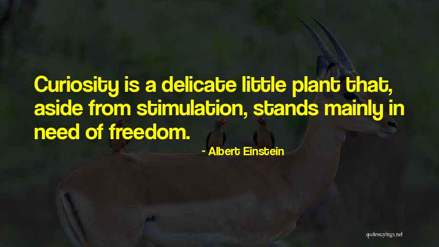 Nim D Quotes By Albert Einstein Nim D Quotes By Albert Einstein