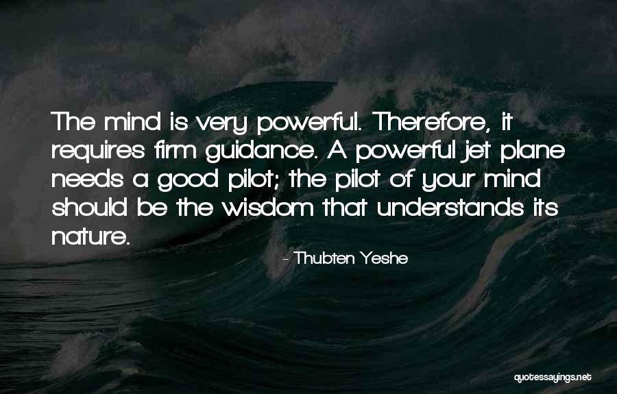 Nim D Quotes By Thubten Yeshe Nim D Quotes By Thubten Yeshe