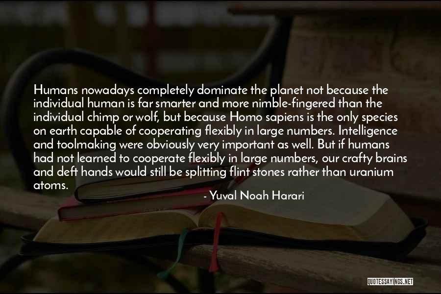 Nimble Hands Quotes By Yuval Noah Harari Nimble Hands Quotes By Yuval Noah Harari