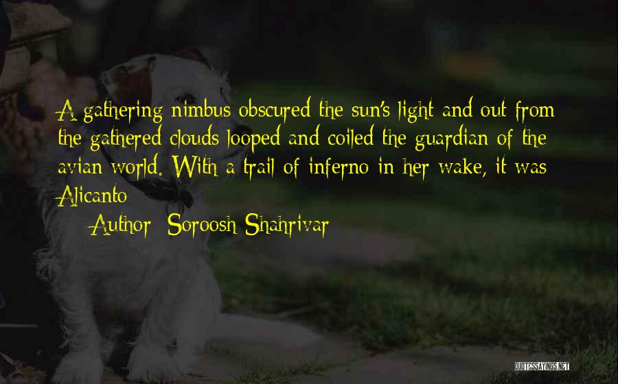 Nimbus Quotes By Soroosh Shahrivar