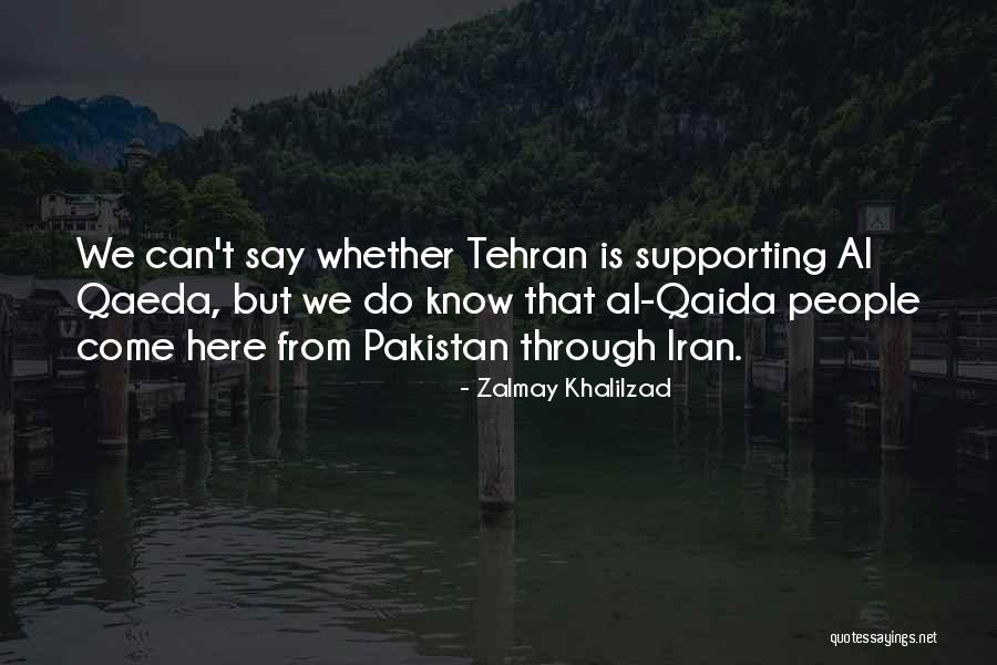 Nimfy Wikipedia Quotes By Zalmay Khalilzad Nimfy Wikipedia Quotes By Zalmay Khalilzad