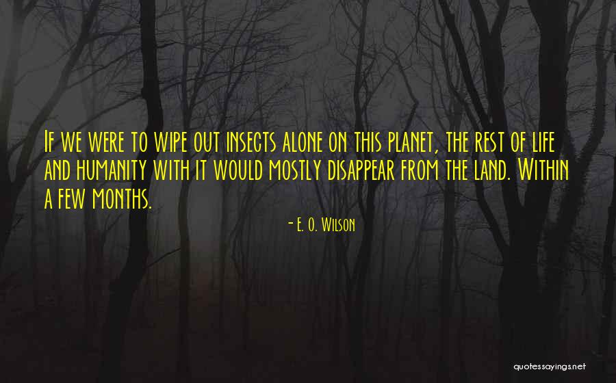 Nimirnthu Quotes By E. O. Wilson Nimirnthu Quotes By E. O. Wilson