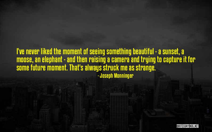 Nimitt Consulting Quotes By Joseph Monninger Nimitt Consulting Quotes By Joseph Monninger
