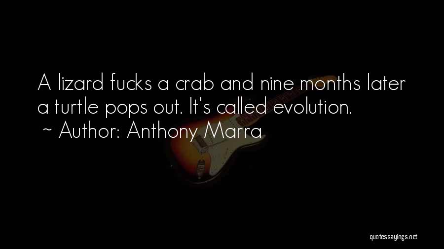 Nine Months Quotes By Anthony Marra