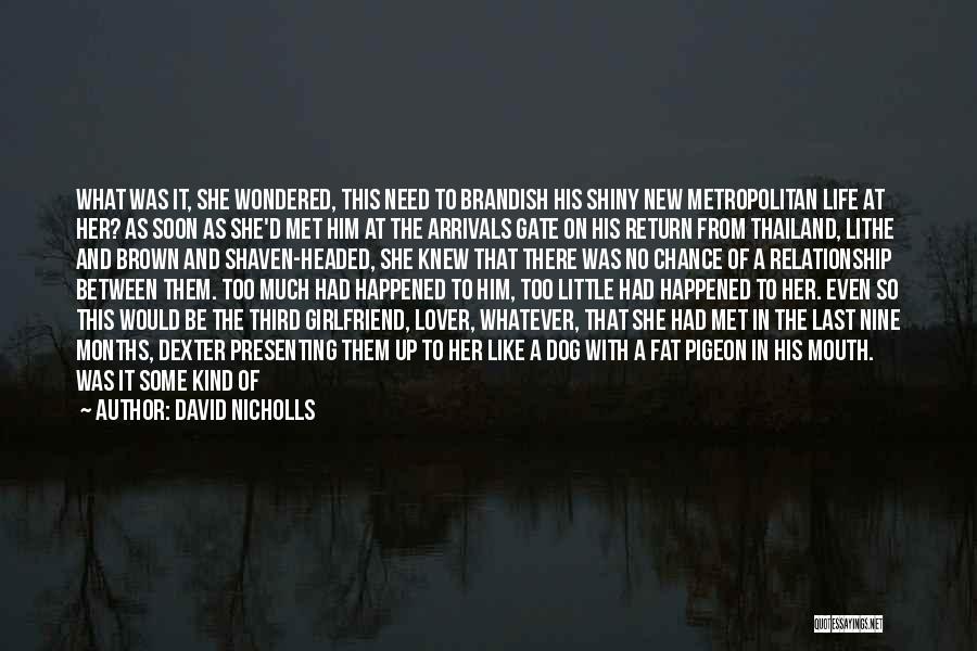 Nine Months Quotes By David Nicholls