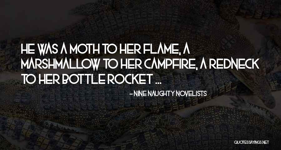 Nine Naughty Novelists Quotes 1273424