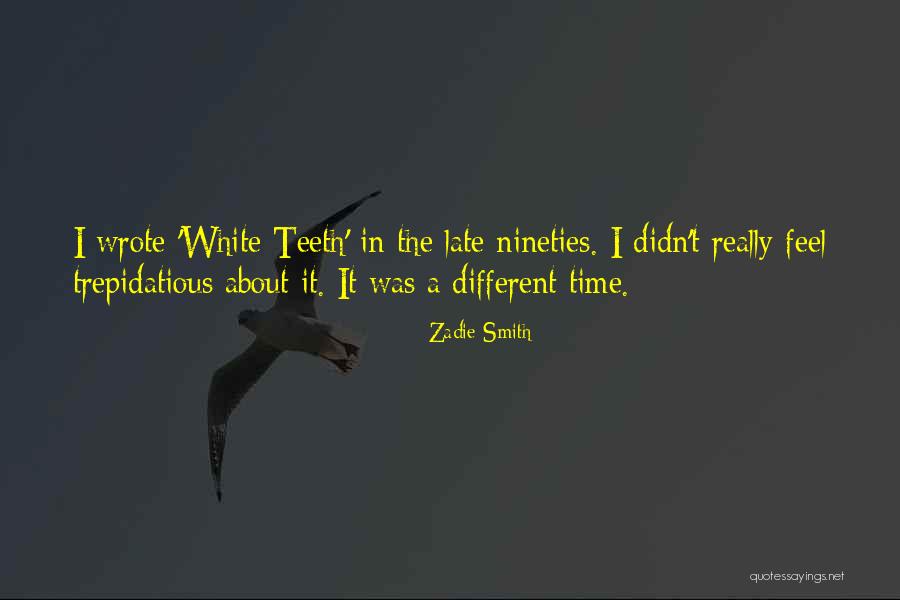 Nineties Quotes By Zadie Smith