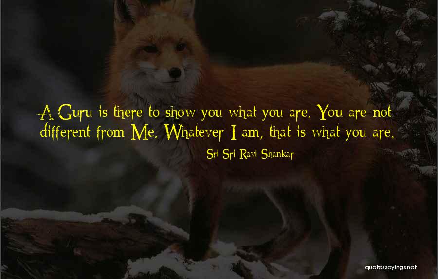 Ninfas Cantando Quotes By Sri Sri Ravi Shankar Ninfas Cantando Quotes By Sri Sri Ravi Shankar