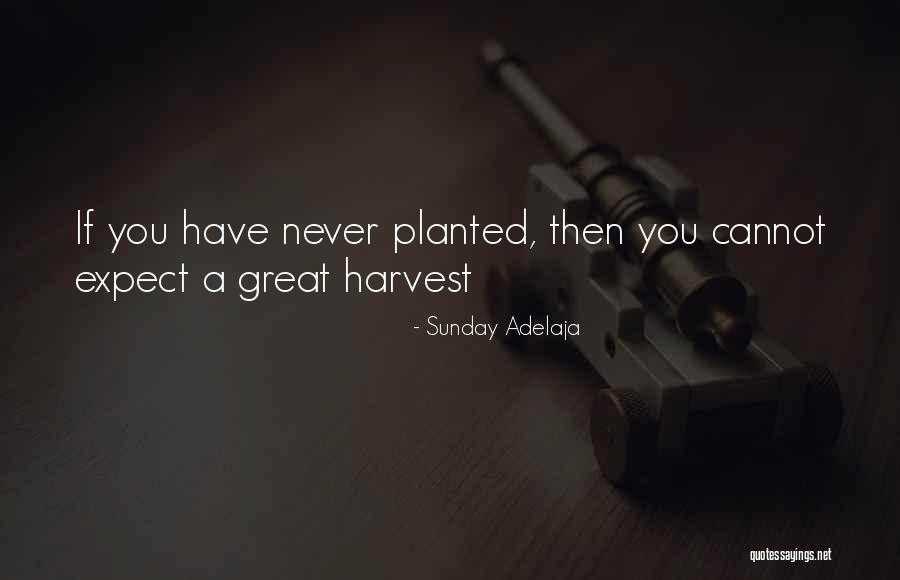 Ninfomana Quotes By Sunday Adelaja Ninfomana Quotes By Sunday Adelaja