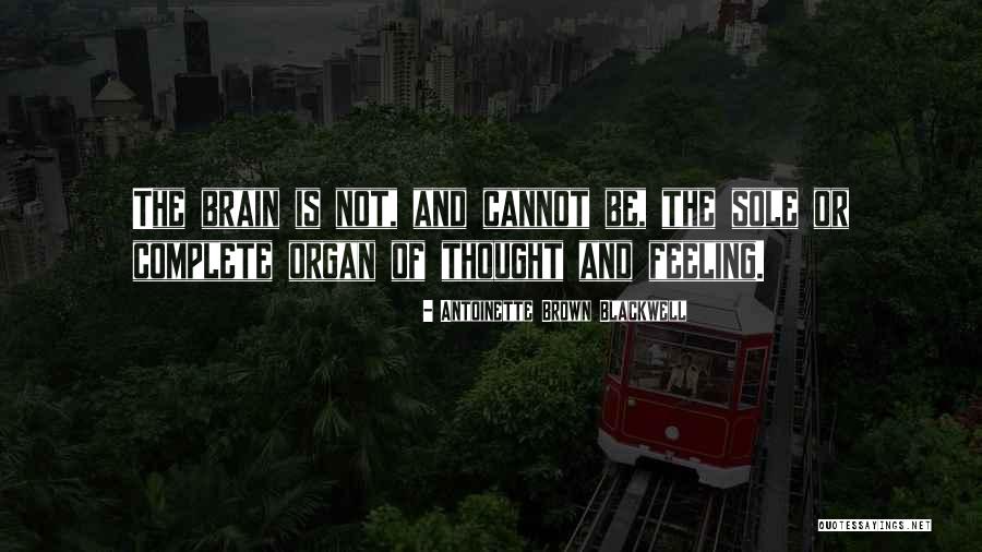 Ninfomania Quotes By Antoinette Brown Blackwell Ninfomania Quotes By Antoinette Brown Blackwell