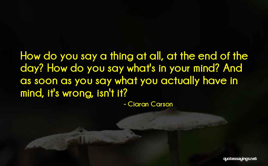 Ninibah Quotes By Ciaran Carson Ninibah Quotes By Ciaran Carson