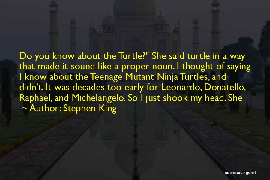 Ninja Turtles Leonardo Quotes By Stephen King
