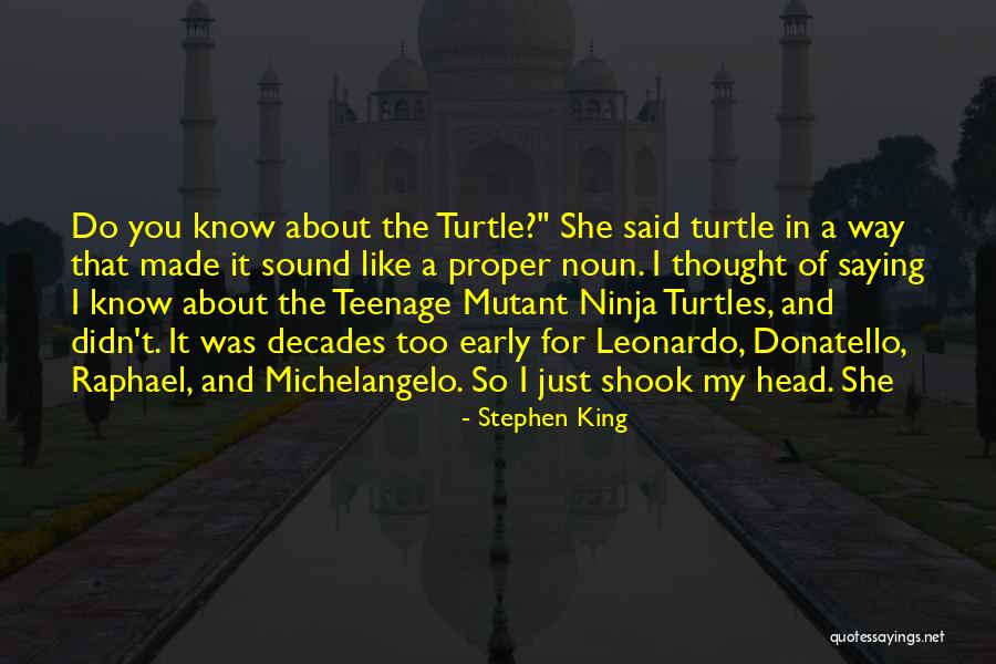 Ninja Turtles Michelangelo Quotes By Stephen King