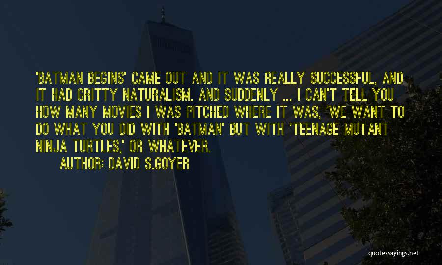 Ninja Turtles Quotes By David S.Goyer