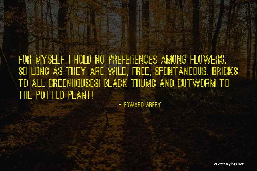 Ninoska Canizalez Quotes By Edward Abbey Ninoska Canizalez Quotes By Edward Abbey