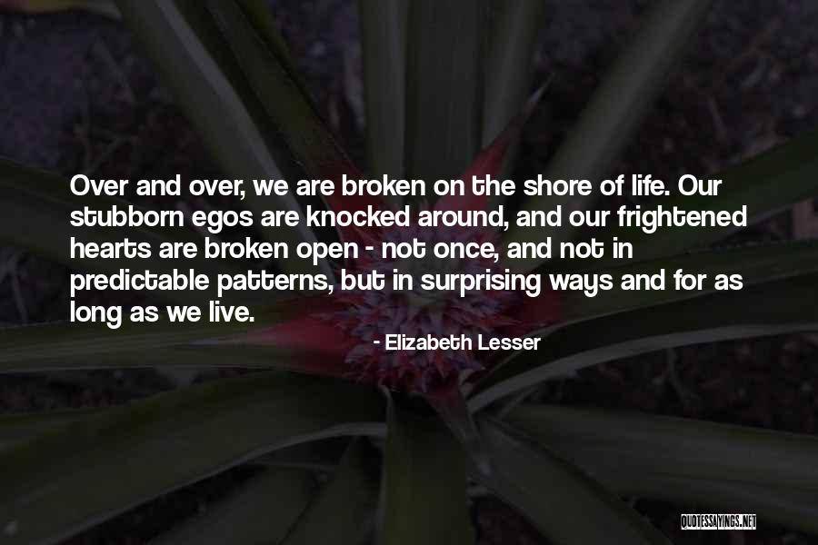 Ninoslav Zec Quotes By Elizabeth Lesser Ninoslav Zec Quotes By Elizabeth Lesser