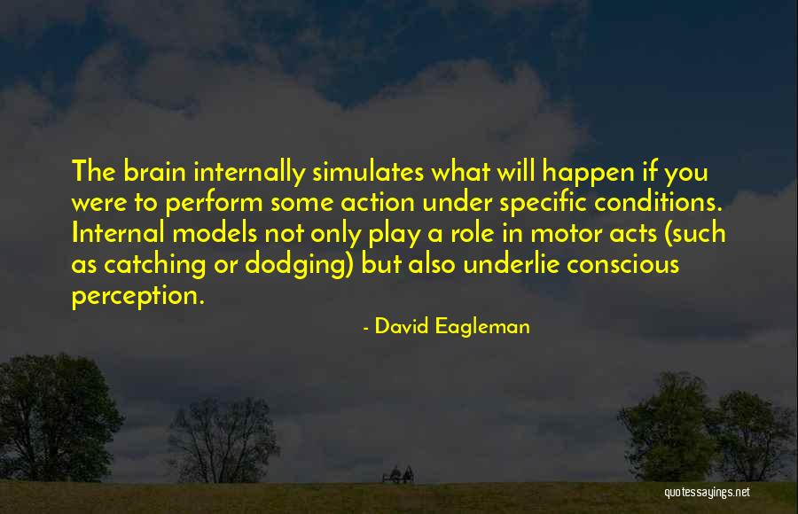 Ninou Quotes By David Eagleman Ninou Quotes By David Eagleman