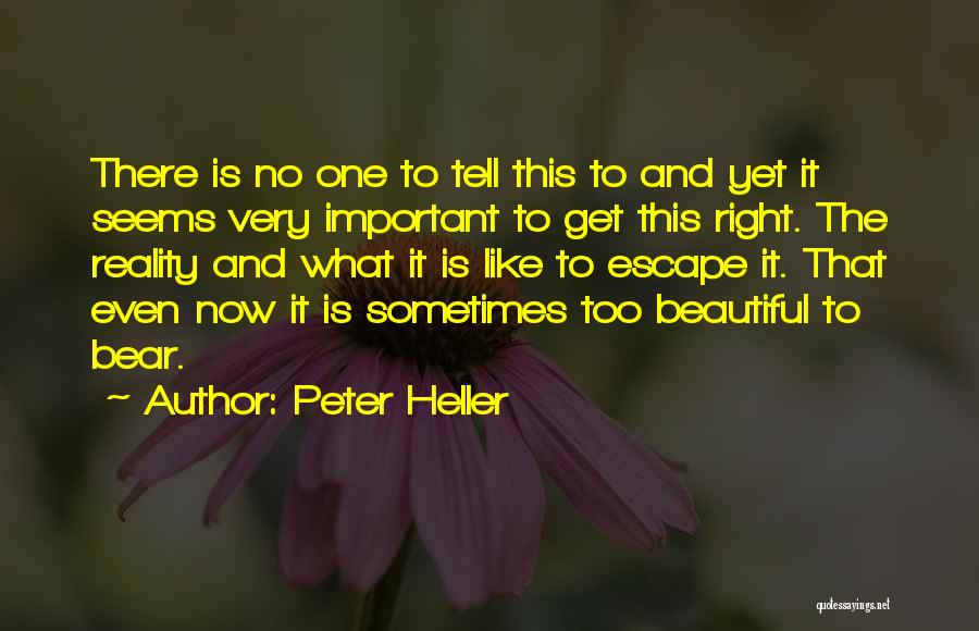 Ninth Doctor Inspirational Quotes By Peter Heller