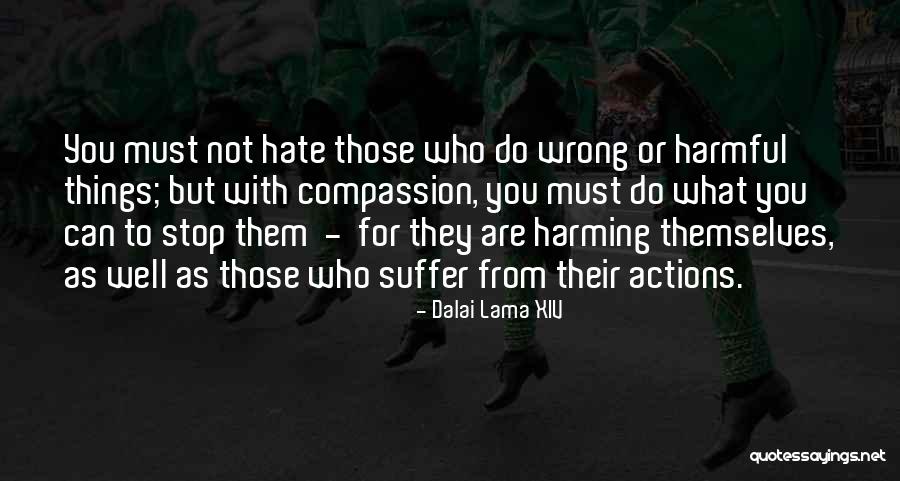 Niplettes Quotes By Dalai Lama XIV Niplettes Quotes By Dalai Lama XIV