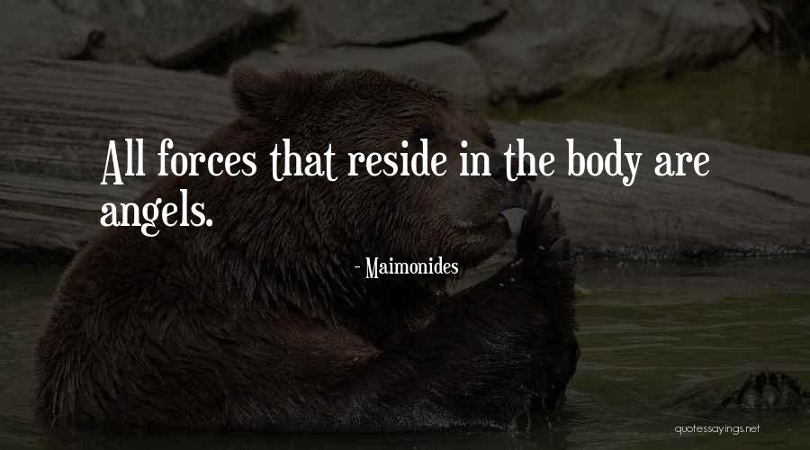 Niplettes Quotes By Maimonides Niplettes Quotes By Maimonides