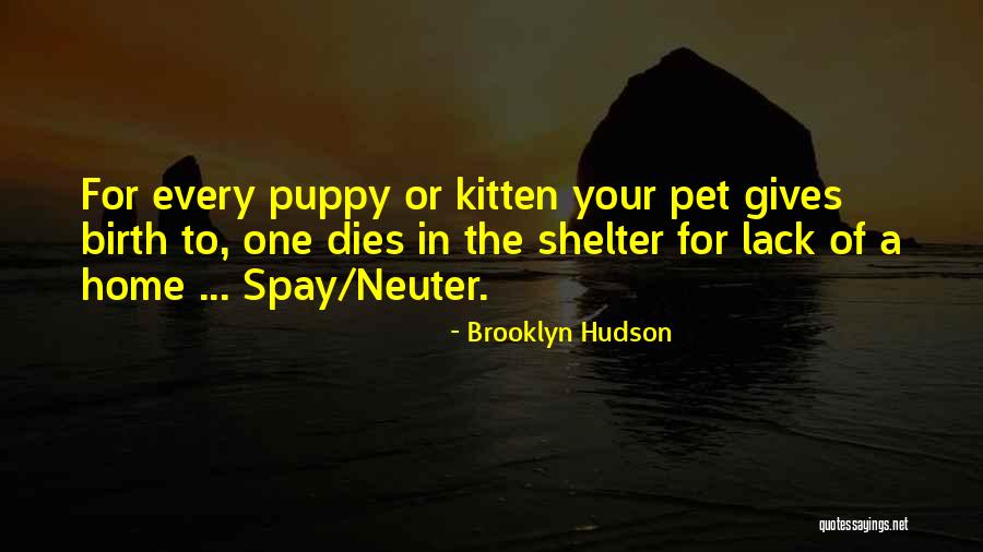 Nipotent Quotes By Brooklyn Hudson Nipotent Quotes By Brooklyn Hudson