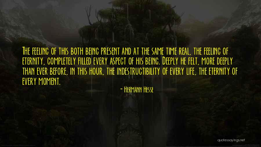 Niras International Consulting Quotes By Hermann Hesse Niras International Consulting Quotes By Hermann Hesse