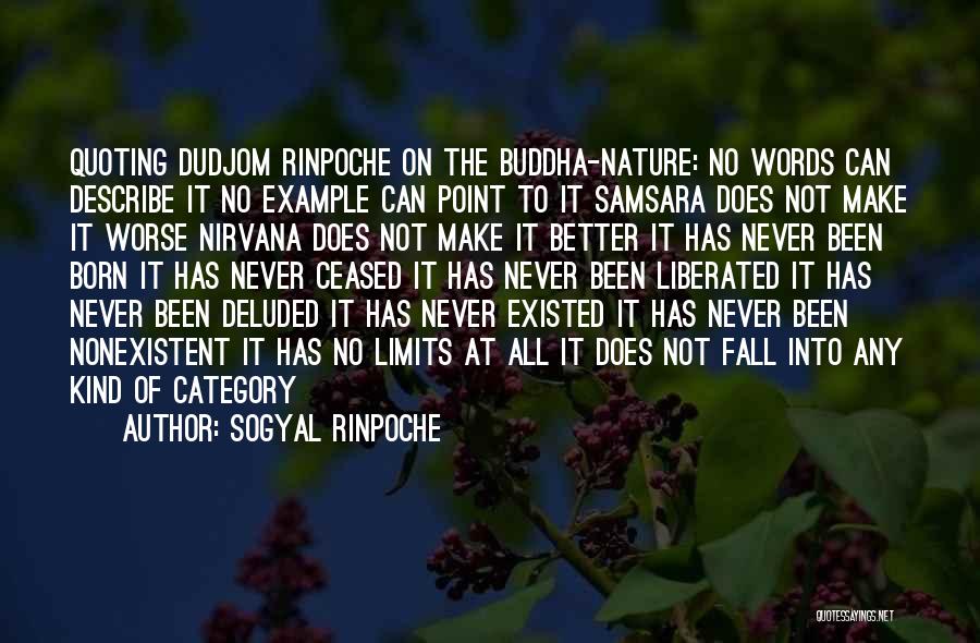 Nirvana Buddha Quotes By Sogyal Rinpoche