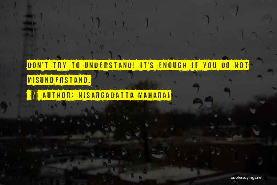 Nisargadatta Maharaj Quotes 1508280