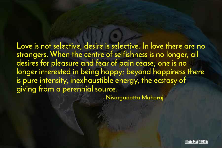 Nisargadatta Maharaj Quotes 181008