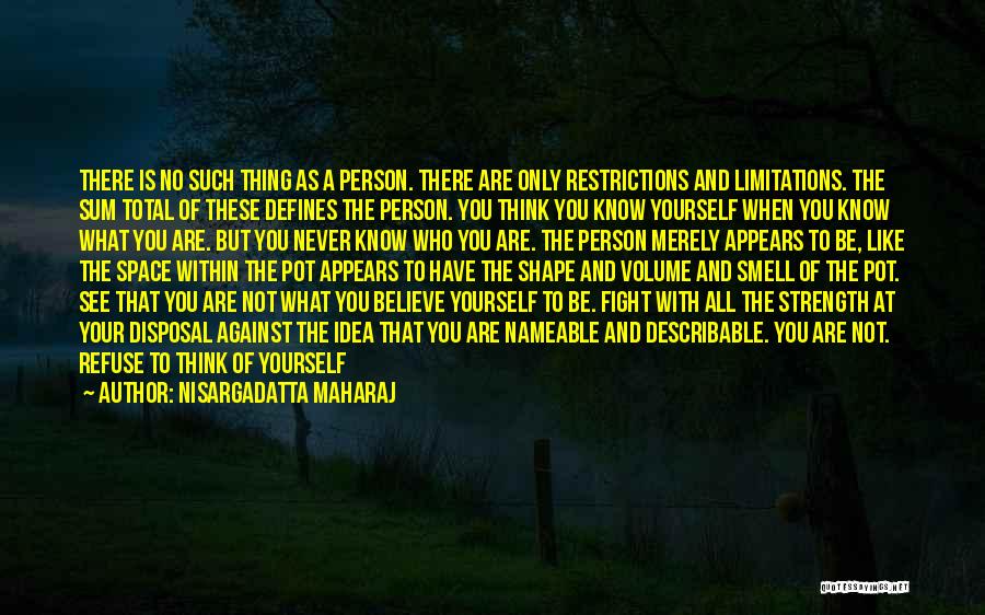 Nisargadatta Maharaj Quotes 728912