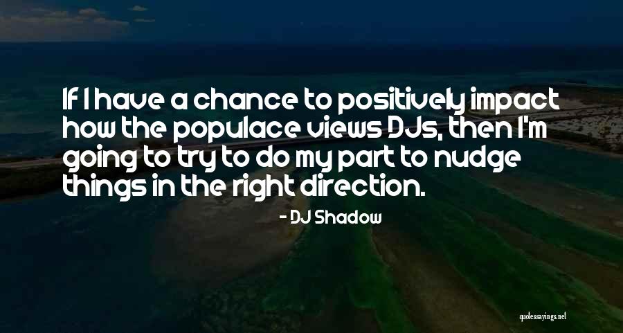 Nishie Fernandez Quotes By DJ Shadow Nishie Fernandez Quotes By DJ Shadow