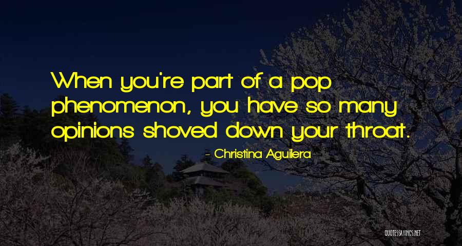 Nishijima Accounting Quotes By Christina Aguilera Nishijima Accounting Quotes By Christina Aguilera