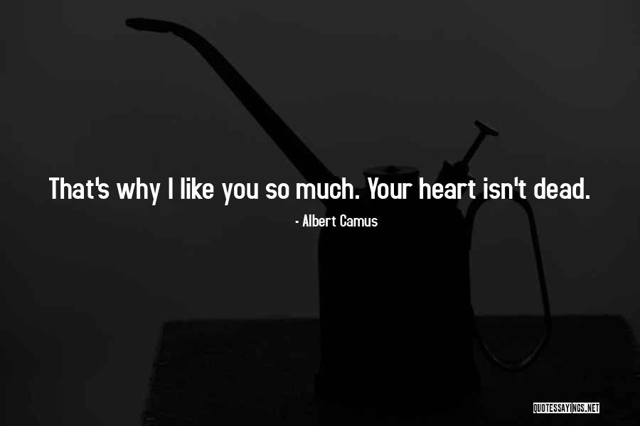 Nishimine Dentist Quotes By Albert Camus Nishimine Dentist Quotes By Albert Camus