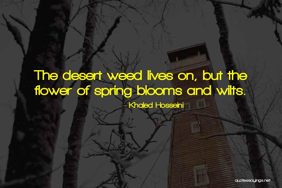 Nishimori Farms Quotes By Khaled Hosseini Nishimori Farms Quotes By Khaled Hosseini