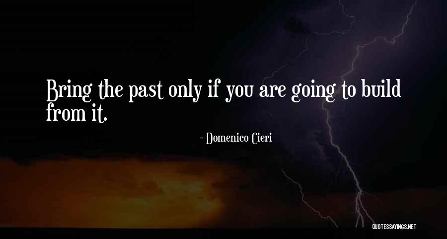 Nisipul Fin Quotes By Domenico Cieri Nisipul Fin Quotes By Domenico Cieri