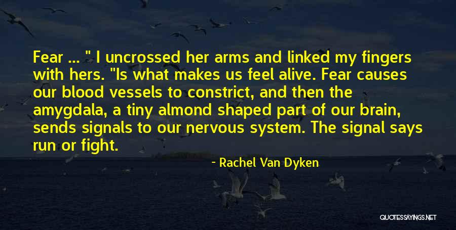 Niskanen Cross Quotes By Rachel Van Dyken Niskanen Cross Quotes By Rachel Van Dyken