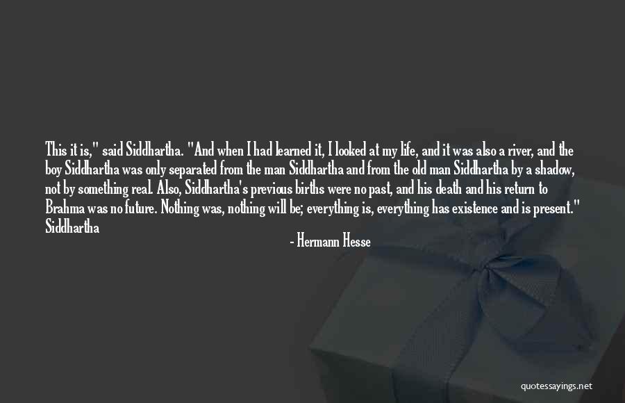 Nitara Move Quotes By Hermann Hesse Nitara Move Quotes By Hermann Hesse