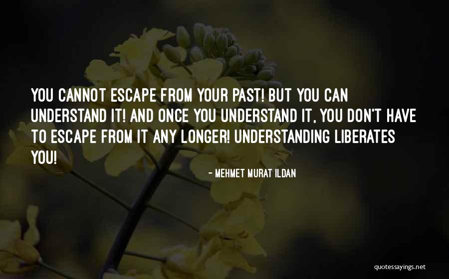 Nittel Hong Quotes By Mehmet Murat Ildan Nittel Hong Quotes By Mehmet Murat Ildan