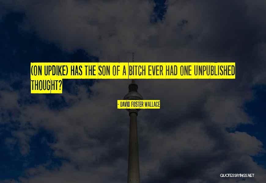 Nitwit Villagers Quotes By David Foster Wallace Nitwit Villagers Quotes By David Foster Wallace