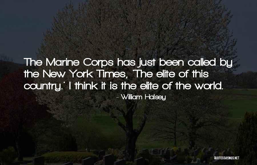 Nivelul Eqf Quotes By William Halsey Nivelul Eqf Quotes By William Halsey