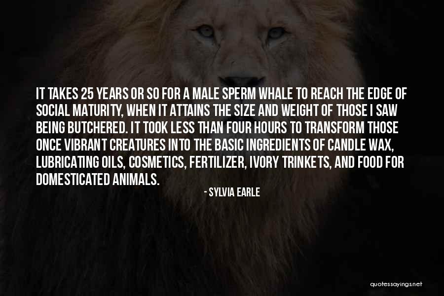 Niveole Quotes By Sylvia Earle Niveole Quotes By Sylvia Earle