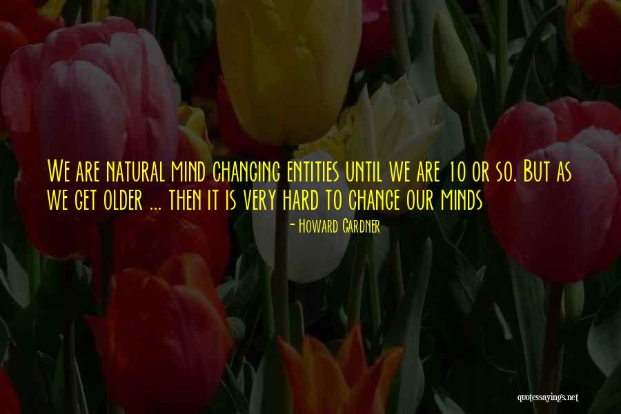 Niwatari Quotes By Howard Gardner Niwatari Quotes By Howard Gardner