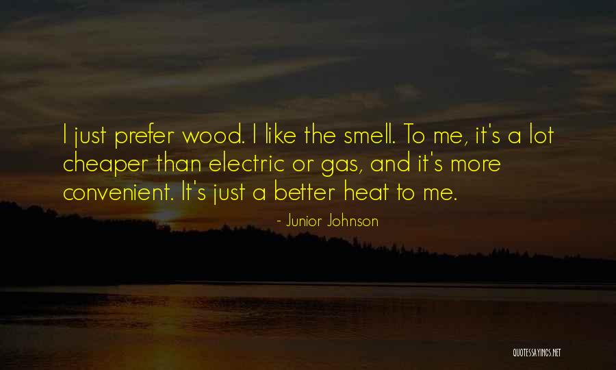 Niyogi Sayani Quotes By Junior Johnson Niyogi Sayani Quotes By Junior Johnson